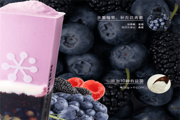 奈雪的茶 奈雪的茶