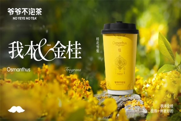 爷爷不泡茶 爷爷不泡茶