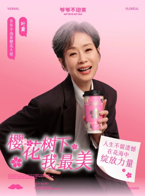 爷爷不泡茶