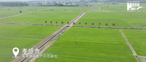 爷爷不泡茶 爷爷不泡茶