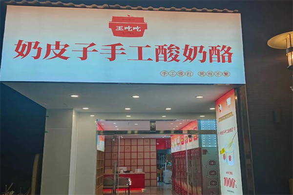 王吃吃奶皮子手工酸奶酪 王吃吃奶皮子手工酸奶酪