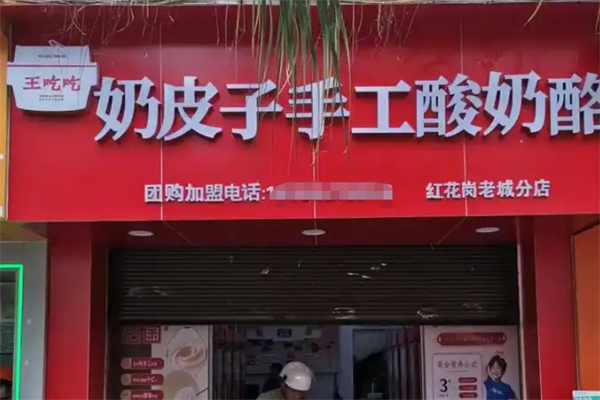 王吃吃奶皮子手工酸奶酪 王吃吃奶皮子手工酸奶酪