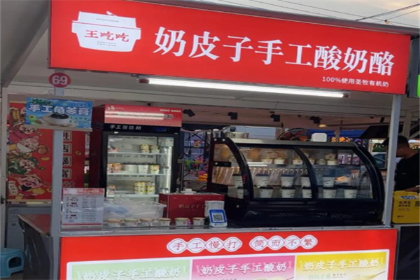 王吃吃奶皮子手工酸奶酪 王吃吃奶皮子手工酸奶酪