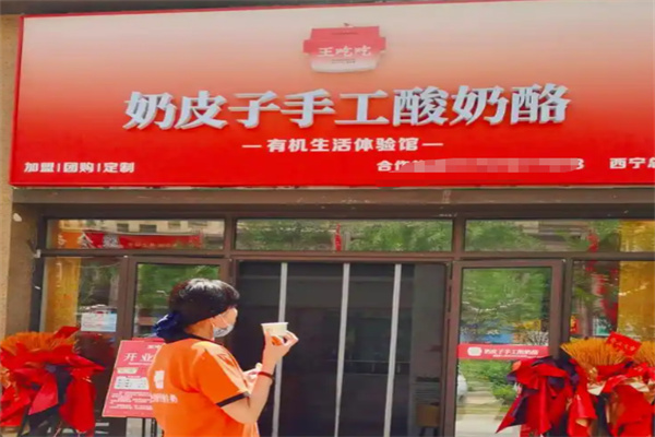 王吃吃奶皮子手工酸奶酪 王吃吃奶皮子手工酸奶酪
