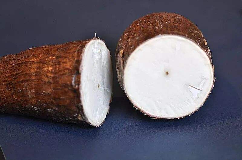这植物全株有毒，还曾让温宜公主吐奶，如今却成了最火的奶茶小料？