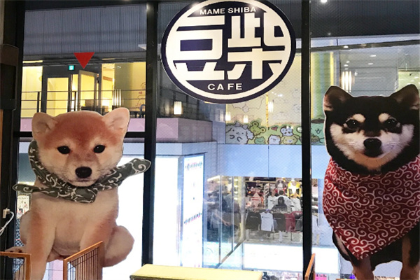逗柴咖啡屋