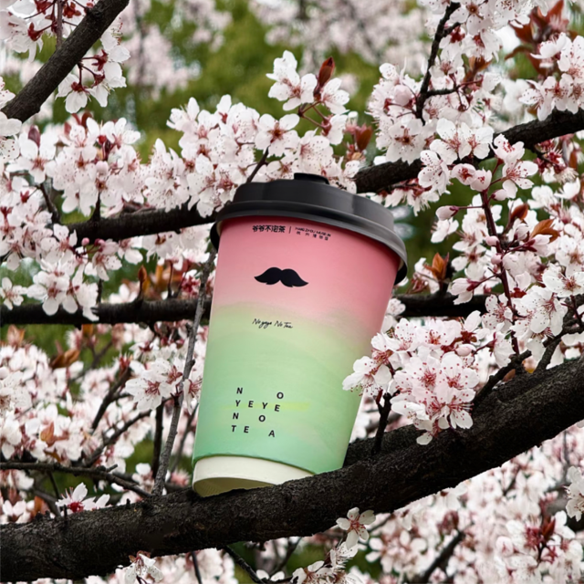 爷爷不泡茶