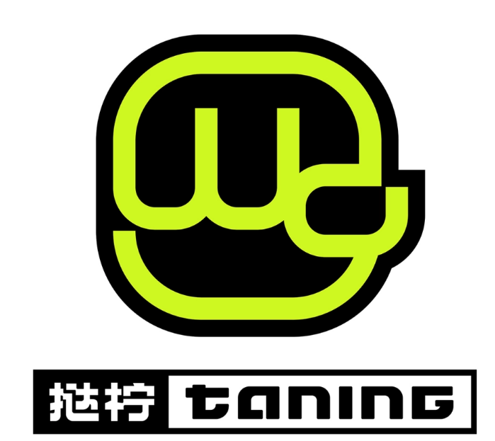 TANING挞柠·手挞柠檬茶