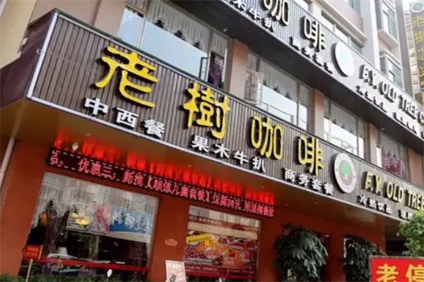 老树咖啡店 老树咖啡店