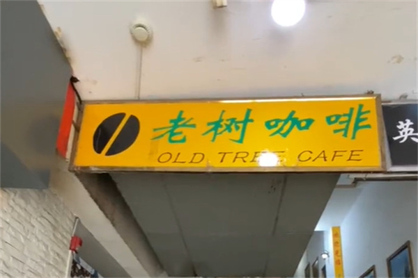老树咖啡店 老树咖啡店
