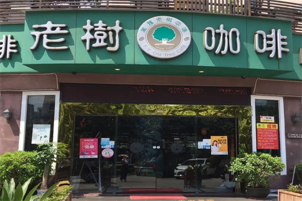 老树咖啡店 老树咖啡店
