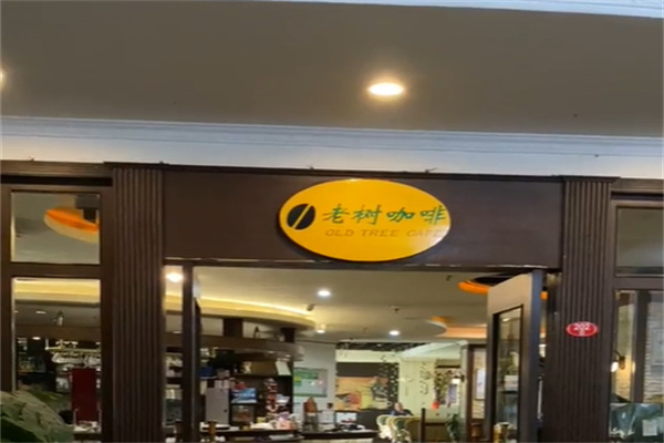 老树咖啡店 老树咖啡店